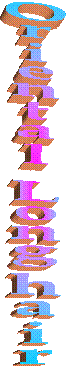 Oosters Langhaar
